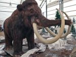 1396494470000-040114wooly-mammoth[1]