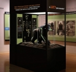 lucy-exhibit-at-the-creation-museum[1]